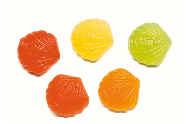 Shells – Fruity, Fun & Chewy | حلوى القواقع الفاكهية